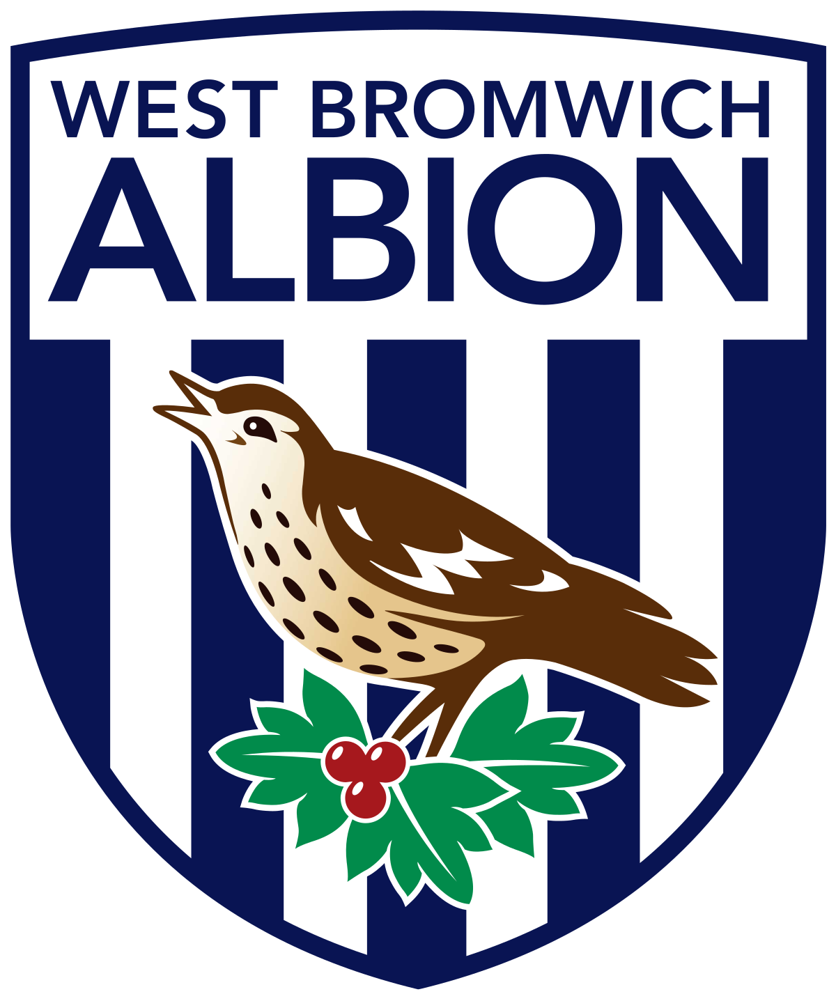 West Bromwich Albion FC